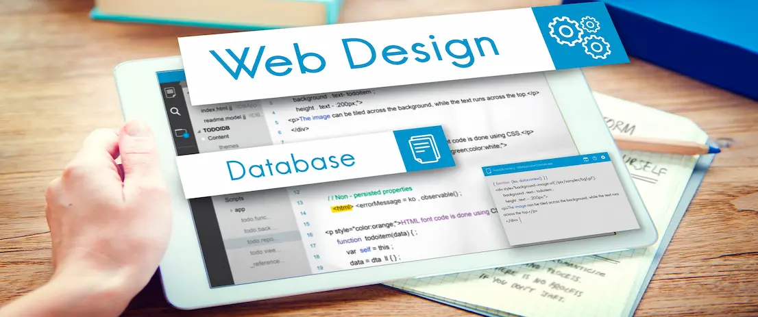 RWMS Web Design Agency